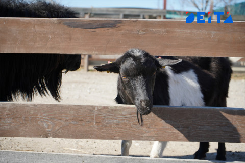 Фото-репортаж: Достопримечательности Уссурийска предлагают посетить приморцам