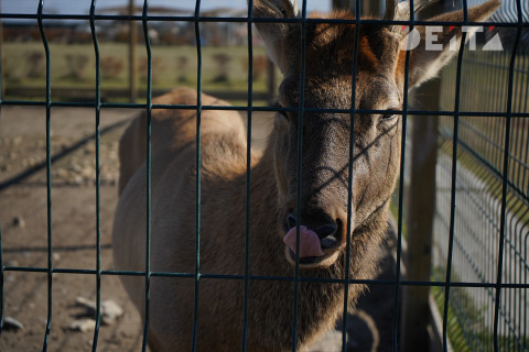 Фото-репортаж: Достопримечательности Уссурийска предлагают посетить приморцам