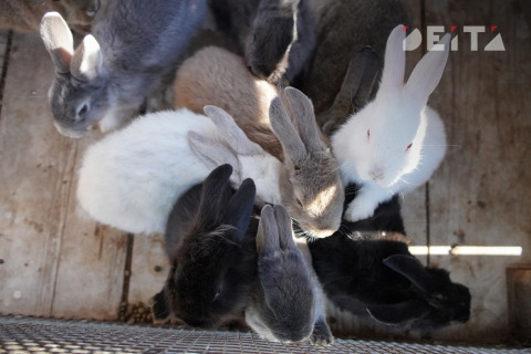 Фото-репортаж: Достопримечательности Уссурийска предлагают посетить приморцам