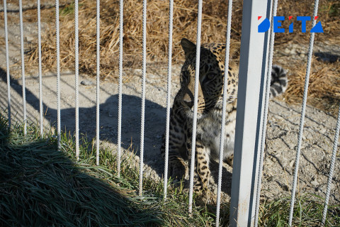 Фото-репортаж: Достопримечательности Уссурийска предлагают посетить приморцам