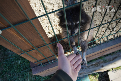 Фото-репортаж: Достопримечательности Уссурийска предлагают посетить приморцам