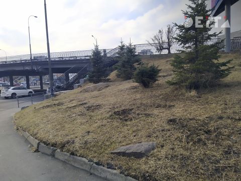 Фото-репортаж: Пешеходам нет места во Владивостоке? Популярный маршрут погряз в мусоре и завален камнями