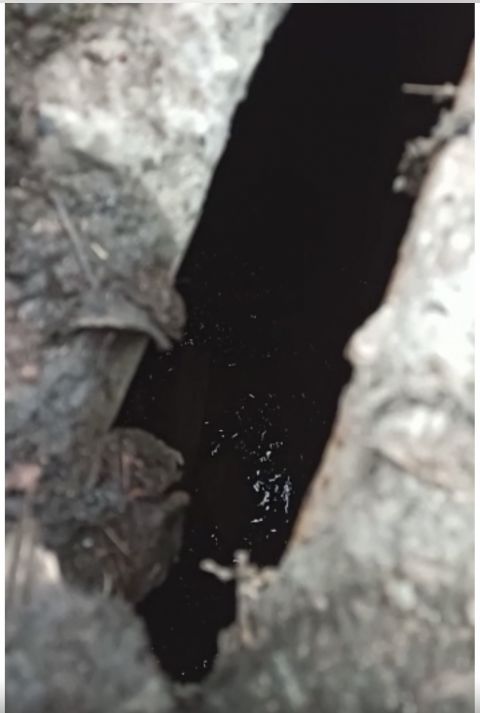 Фото-репортаж: Скандальная стройка открыла портал в ад во Владивостоке