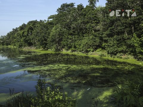 Фото-репортаж: Парки Владивостока: судьба, состояние, перспективы