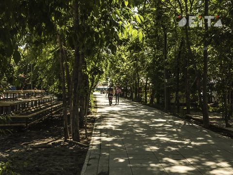 Фото-репортаж: Парки Владивостока: судьба, состояние, перспективы