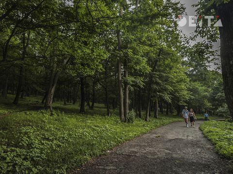 Фото-репортаж: Парки Владивостока: судьба, состояние, перспективы