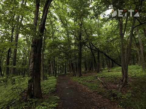 Фото-репортаж: Парки Владивостока: судьба, состояние, перспективы