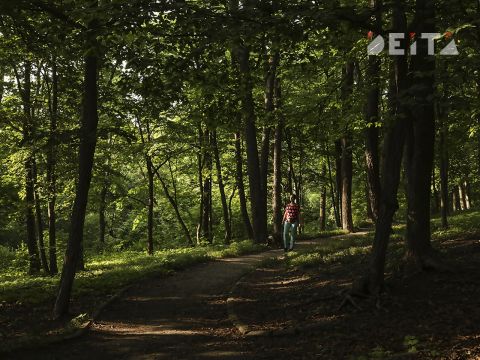 Фото-репортаж: Парки Владивостока: судьба, состояние, перспективы