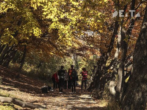 Фото-репортаж: Парки Владивостока: судьба, состояние, перспективы