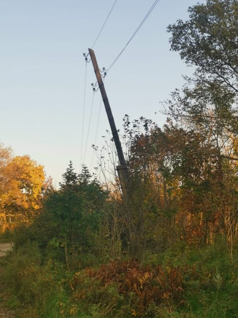 Фото-репортаж: Электросетевое хозяйство рассыпается в труху в "любимом городе Путина"