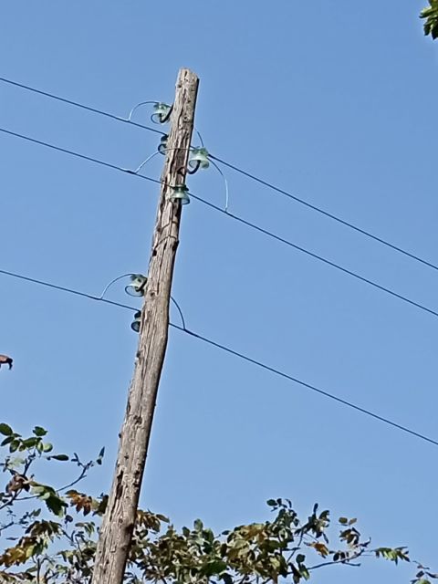 Фото-репортаж: Электросетевое хозяйство рассыпается в труху в "любимом городе Путина"