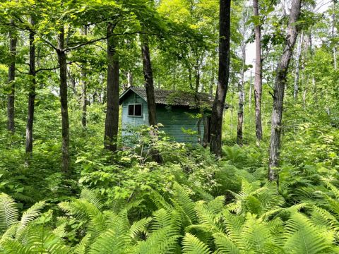 Фото-репортаж: Приватизации не подлежат: что стало с детскими лагерями Владивостока