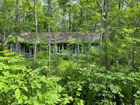 Фото-репортаж: Приватизации не подлежат: что стало с детскими лагерями Владивостока