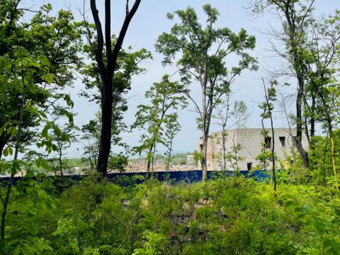 Фото-репортаж: Приватизации не подлежат: что стало с детскими лагерями Владивостока