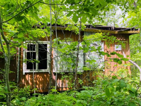 Фото-репортаж: Приватизации не подлежат: что стало с детскими лагерями Владивостока