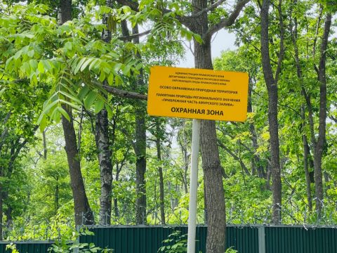 Фото-репортаж: Приватизации не подлежат: что стало с детскими лагерями Владивостока