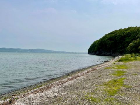 Фото-репортаж: Приватизации не подлежат: что стало с детскими лагерями Владивостока