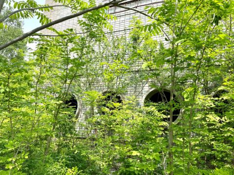 Фото-репортаж: Приватизации не подлежат: что стало с детскими лагерями Владивостока