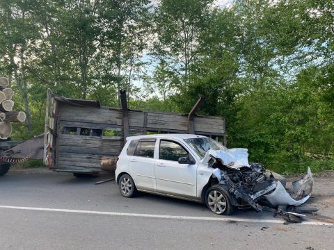 Фото-репортаж: КАМАЗ с брёвнами, медведь, инкассаторы: дайджест необычных ДТП Приморья за минувший день