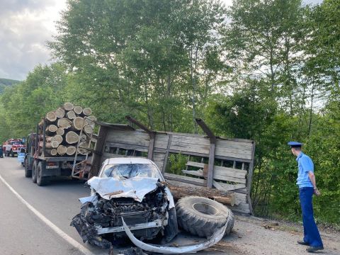 Фото-репортаж: КАМАЗ с брёвнами, медведь, инкассаторы: дайджест необычных ДТП Приморья за минувший день