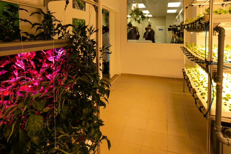 ЭКСПОНАТ «СИТИ-ФЕРМА»