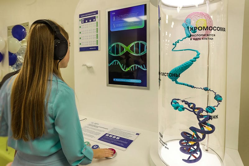 ЭКСПОНАТ «ГЕНЕТИКА»