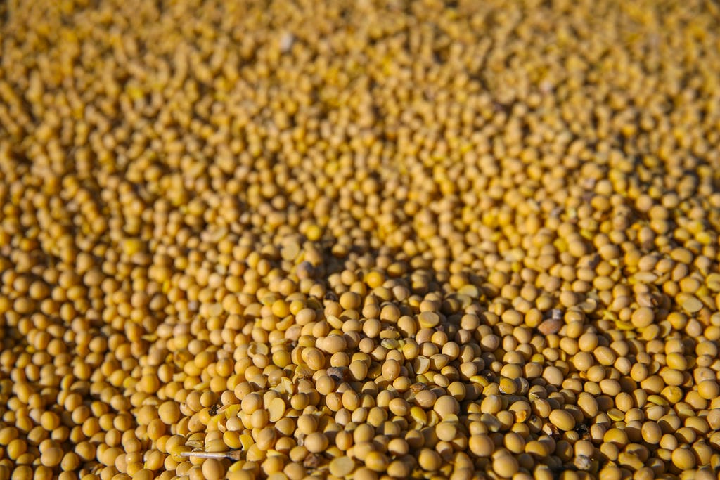 Грузовой поток повернулся с запада на восток, а Приморье стало главными морскими воротами России. Какие перспективы открывает поворот на восток для региона, и какие проекты сыграют в этом ключевую роль