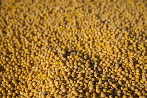 Грузовой поток повернулся с запада на восток, а Приморье стало главными морскими воротами России. Какие перспективы открывает поворот на восток для региона, и какие проекты сыграют в этом ключевую роль