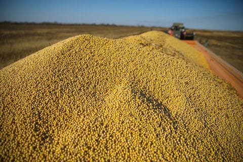 Грузовой поток повернулся с запада на восток, а Приморье стало главными морскими воротами России. Какие перспективы открывает поворот на восток для региона, и какие проекты сыграют в этом ключевую роль