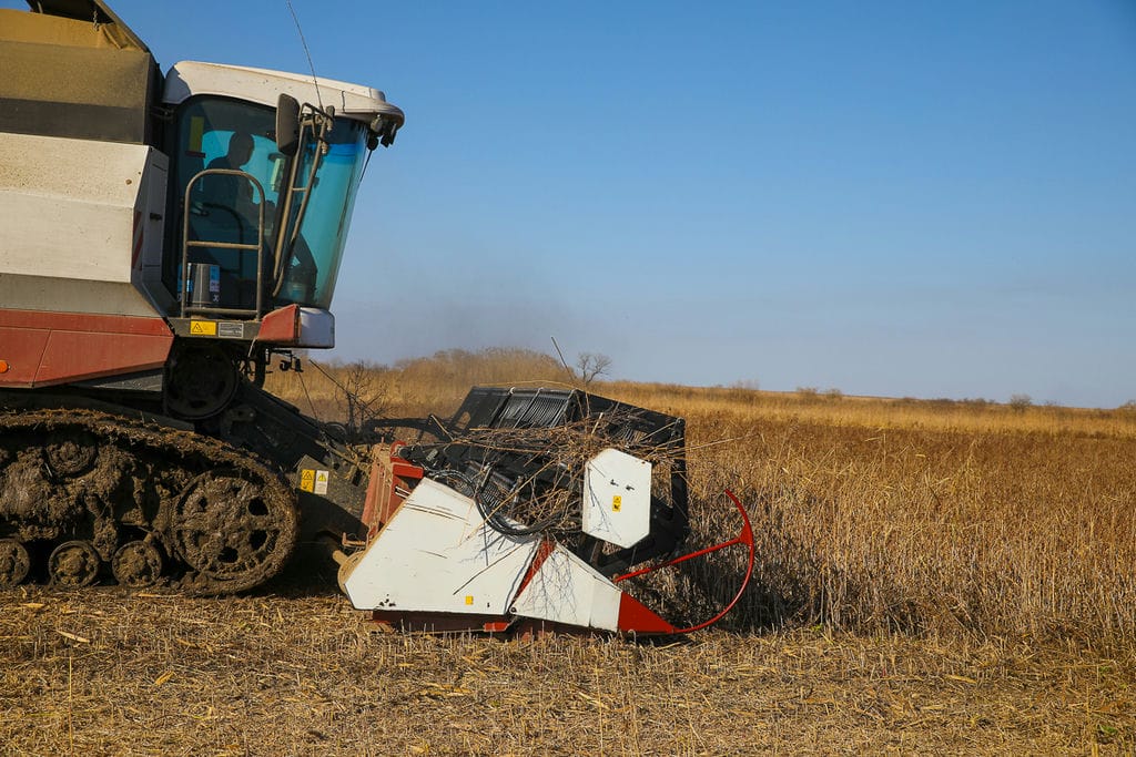 Грузовой поток повернулся с запада на восток, а Приморье стало главными морскими воротами России. Какие перспективы открывает поворот на восток для региона, и какие проекты сыграют в этом ключевую роль