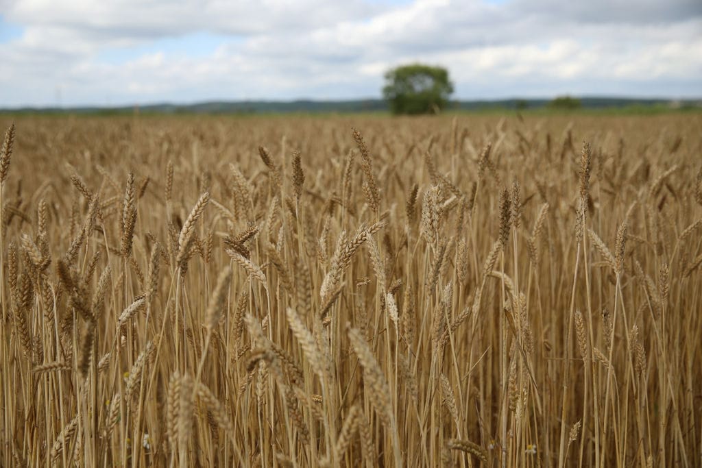 Грузовой поток повернулся с запада на восток, а Приморье стало главными морскими воротами России. Какие перспективы открывает поворот на восток для региона, и какие проекты сыграют в этом ключевую роль