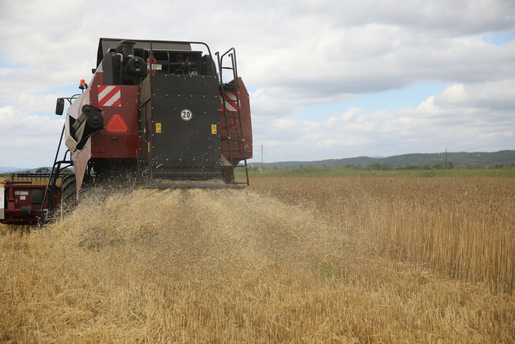 Грузовой поток повернулся с запада на восток, а Приморье стало главными морскими воротами России. Какие перспективы открывает поворот на восток для региона, и какие проекты сыграют в этом ключевую роль