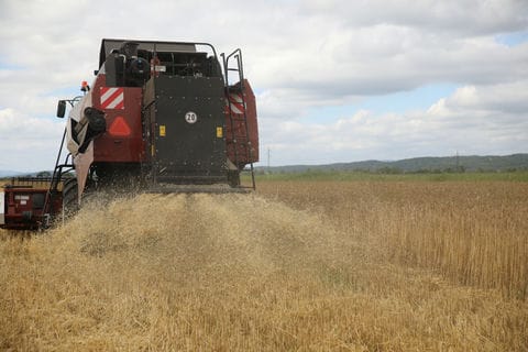 Грузовой поток повернулся с запада на восток, а Приморье стало главными морскими воротами России. Какие перспективы открывает поворот на восток для региона, и какие проекты сыграют в этом ключевую роль