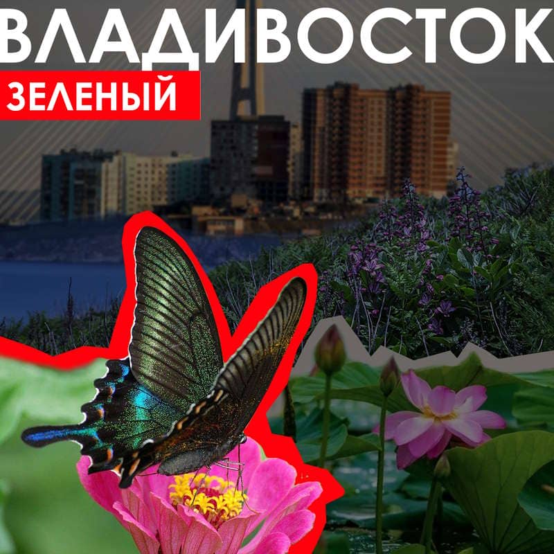 Владивосток - Зеленый